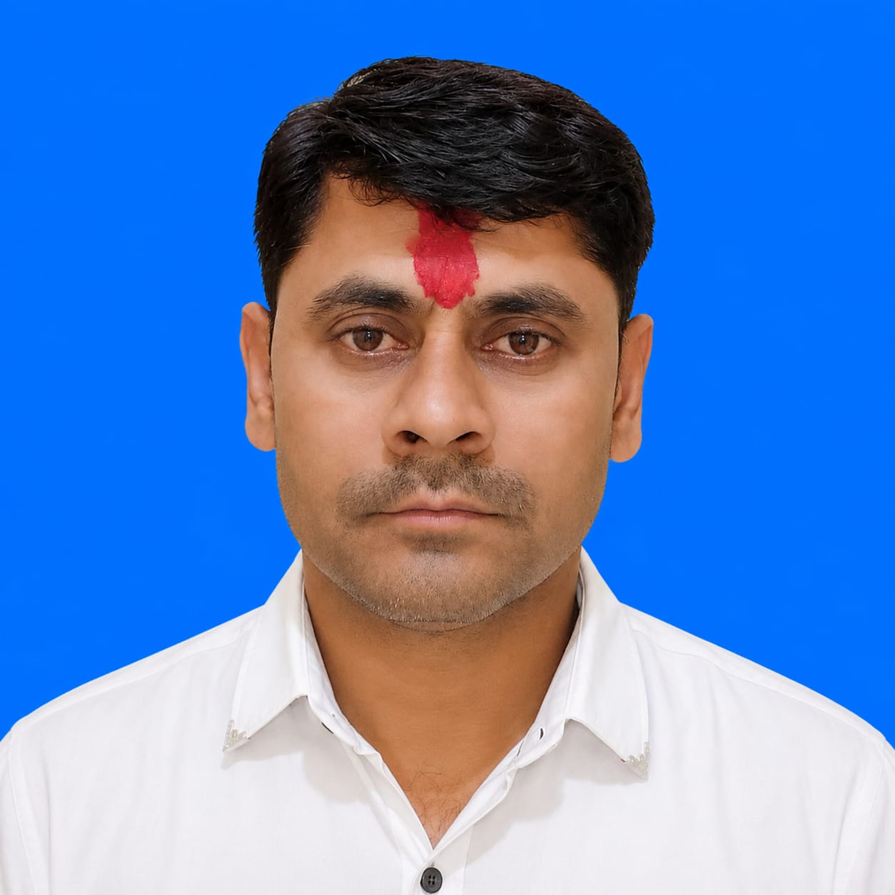Team Member