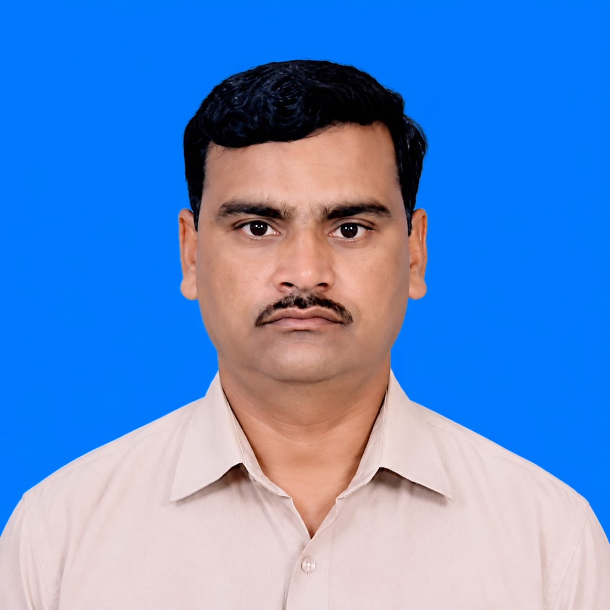 Team Member
