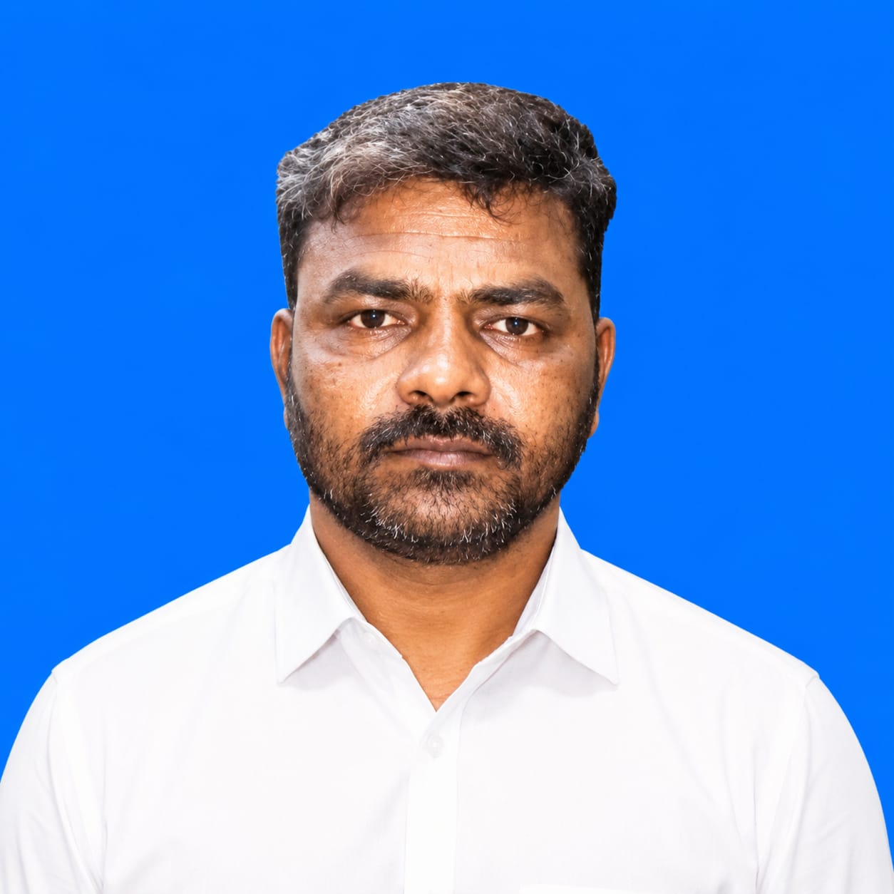 Team Member